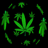 marihuana.gif